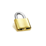 Gold Padlock Pin